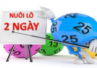 lô nuôi khung 2 ngày: phương pháp nuôi lô hiệu quả nhất 2025